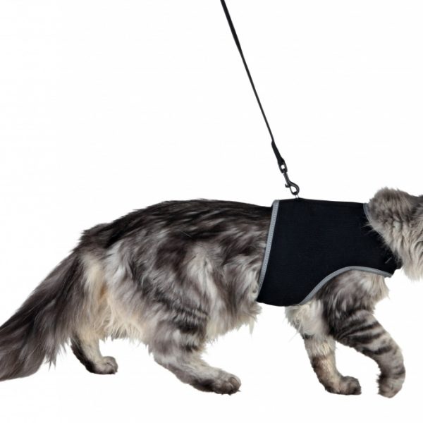 Peitoral com trela para gatos -10411