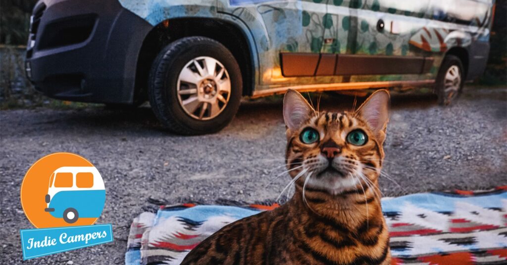 Indie Campers Animais