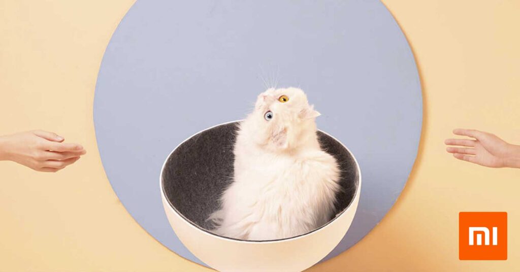 Cadeira para gato da Xiaomi