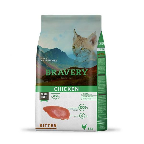 BRAVERY CHICKEN KITTEN