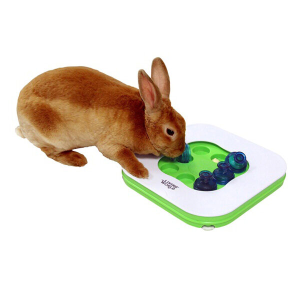 Brinquedo Teach N Treat-0