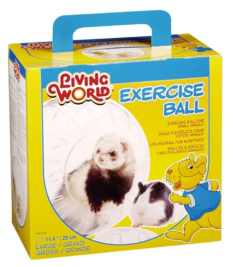 Bola de Exercício Grande-0