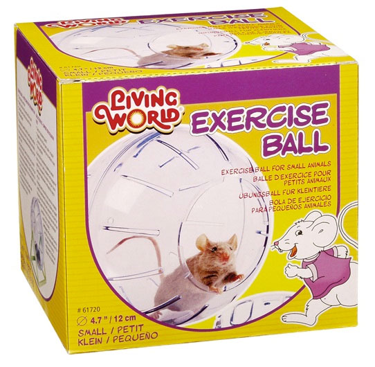 Bola de Exercício Pequena-0