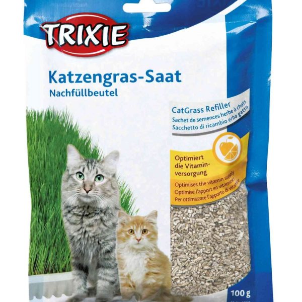 Recarga para Erva Gateira em Tabuleiro-0