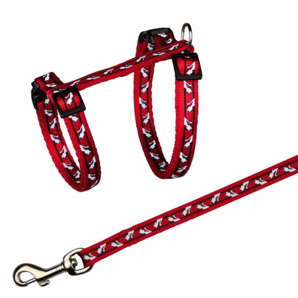 Peitoral com Trela para Gatinhos-0