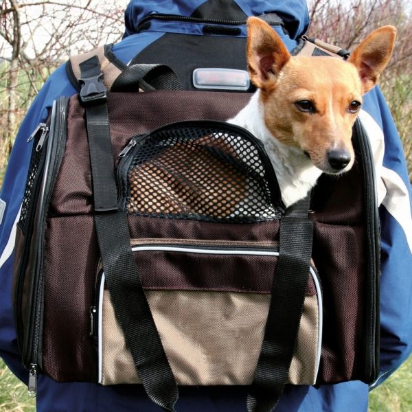 Mochila Transportadora Shiva-13024