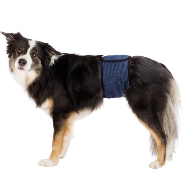 Banda para cães machos incontinentes -0